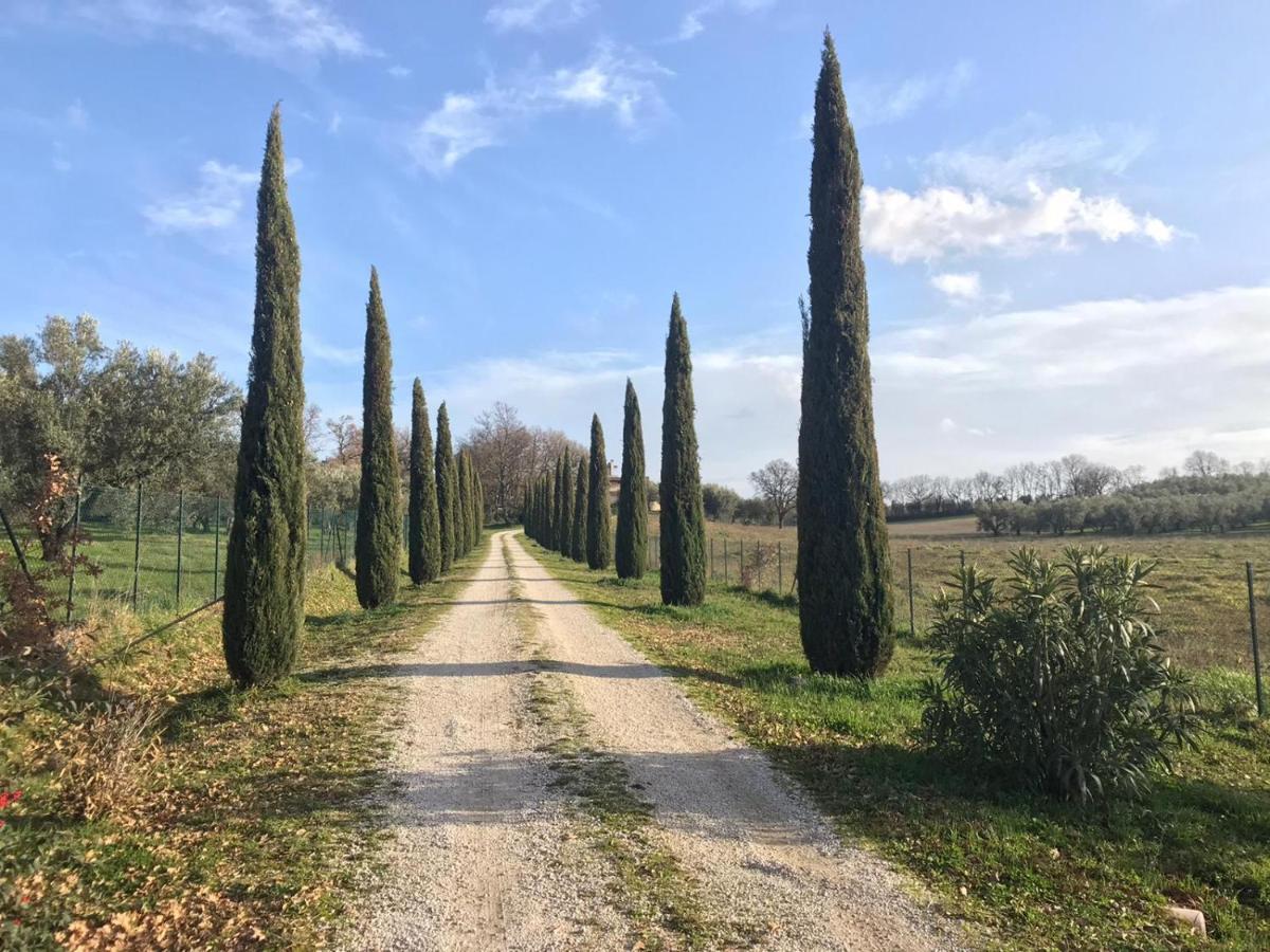 Agriturismo La Lampada Di Atena Vetralla Exteriör bild