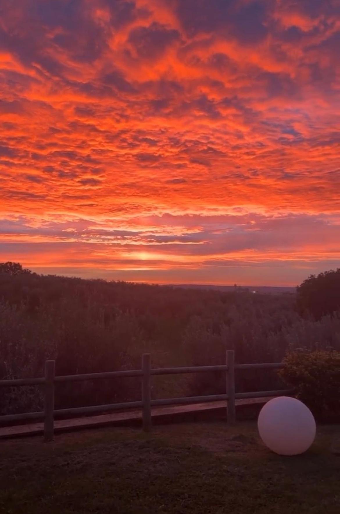Agriturismo La Lampada Di Atena Vetralla Exteriör bild